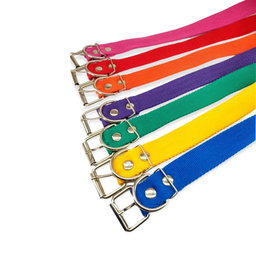 [0158] COLLAR CINTA N1 (1.5 CM x 32 CM)